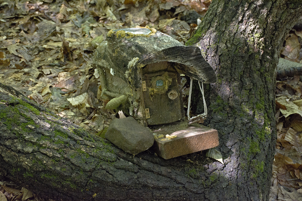 Fairy Trail, Rahway River Trail, South Mountain Reservation, Millburn, NJ