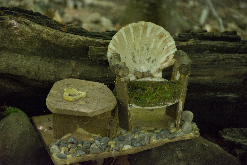 Fairy Trail, Rahway River Trail, South Mountain Reservation, Millburn, NJ