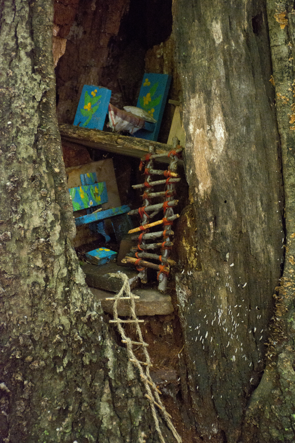 Fairy Trail, Rahway River Trail, South Mountain Reservation, Millburn, NJ