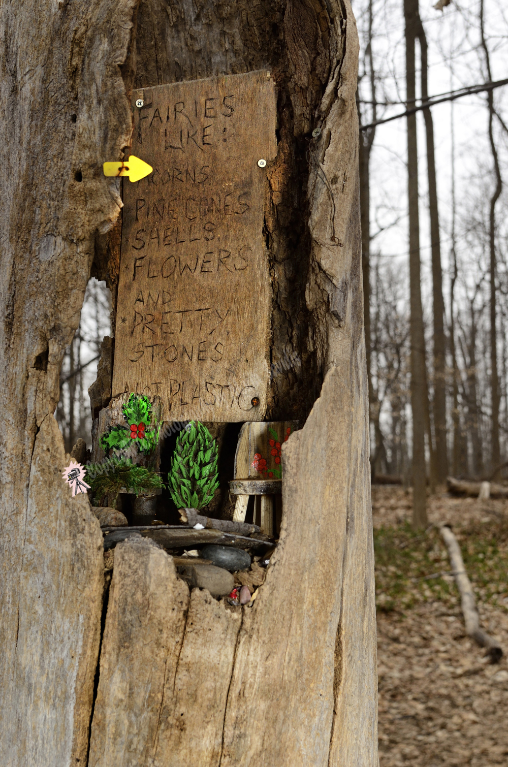 Fairy Trail, Rahway River Trail, South Mountain Reservation, Millburn, NJ