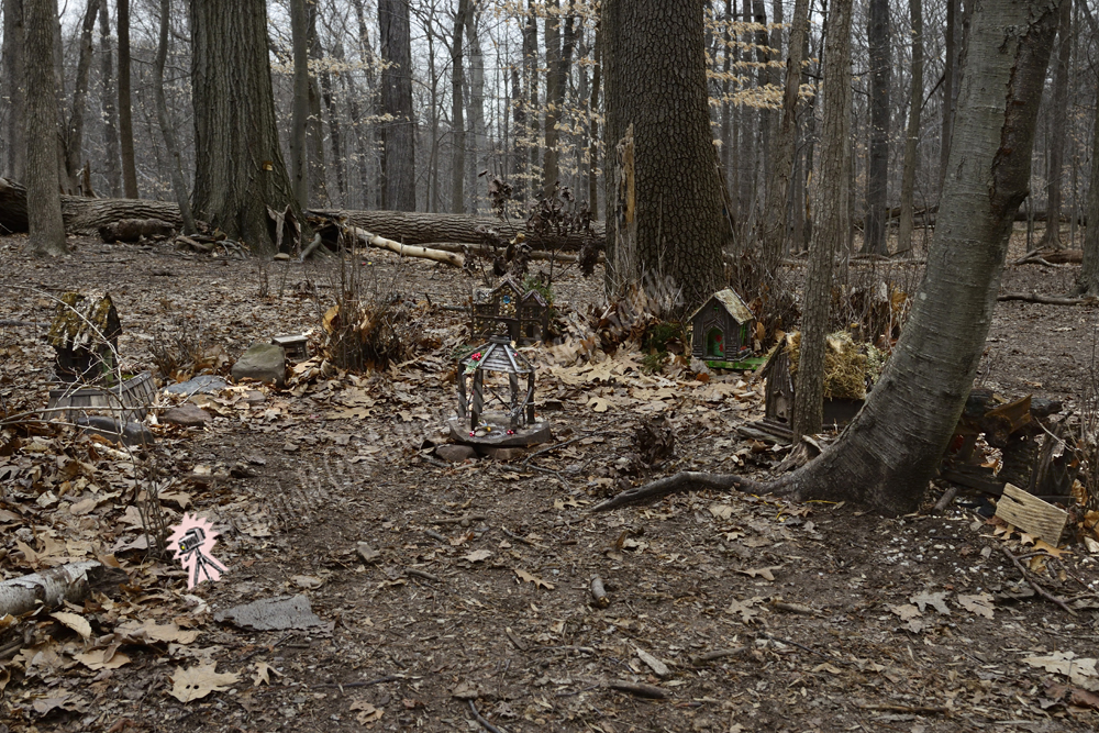 Fairy Trail, Rahway River Trail, South Mountain Reservation, Millburn, NJ