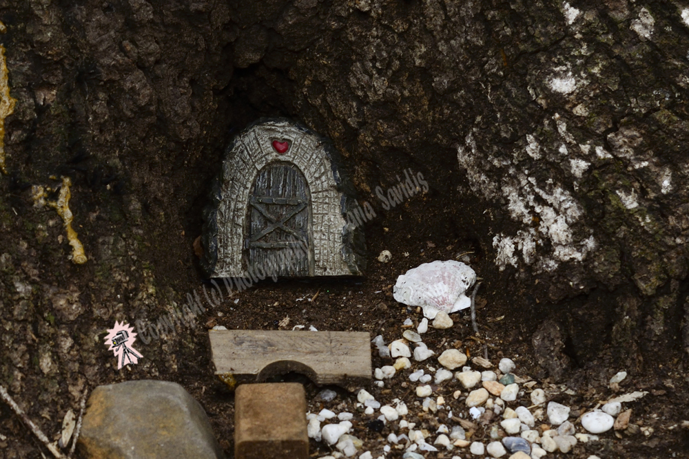 Fairy Trail, Rahway River Trail, South Mountain Reservation, Millburn, NJ