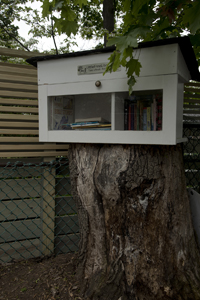 Stirling, NJ 2017-8ds-1915 Little Free Library