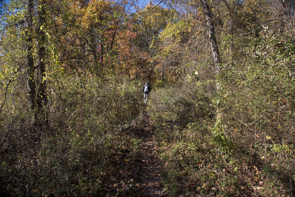 Autumn in Watchung Reservation, Union County, NJ