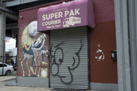 Williamsburg, Brooklyn 2017-71D-4164 Street Art