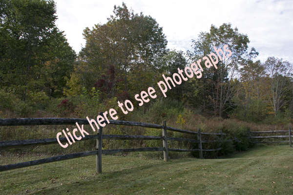 Click here to see more photographs of Clinton Corners